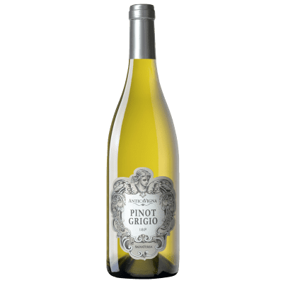 pinot-grigio-antica-vigna-tenute-salvaterra-flasche